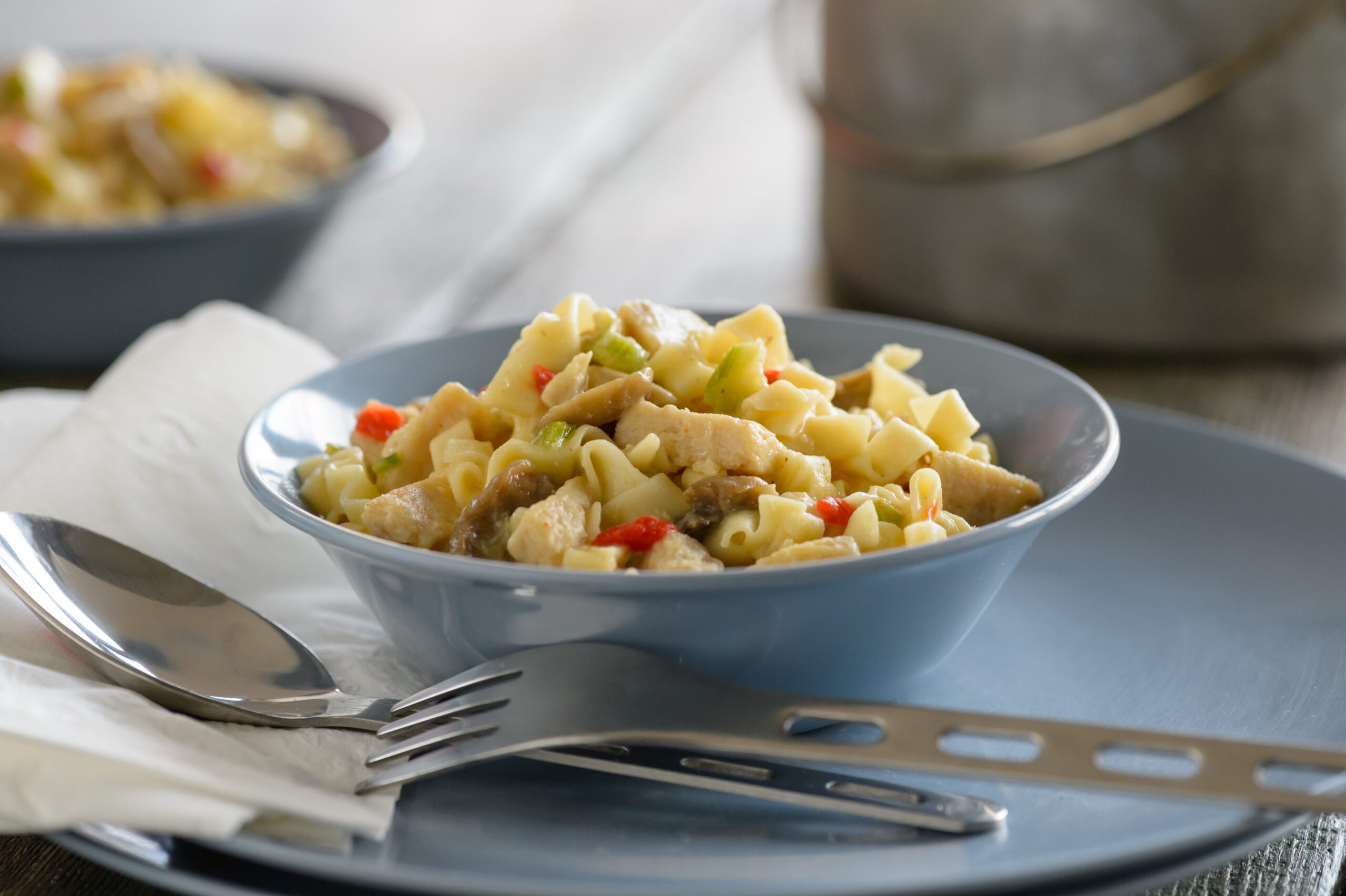 MOUNTAIN HOUSE HOMESTYLE CHICKEN NOODLE CASSEROLE - Image 3